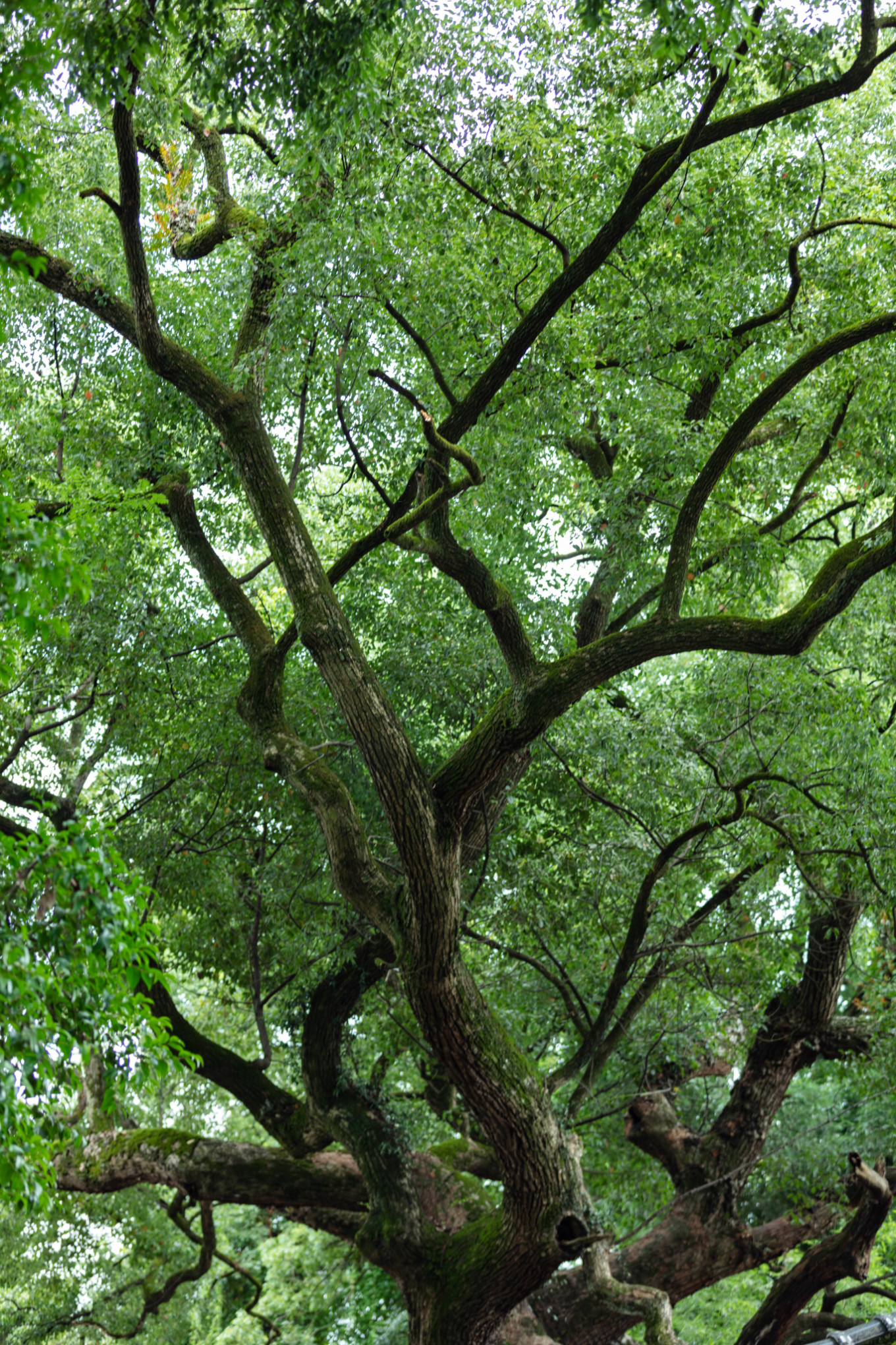 宜春冬天风景,关于江西宜春美景