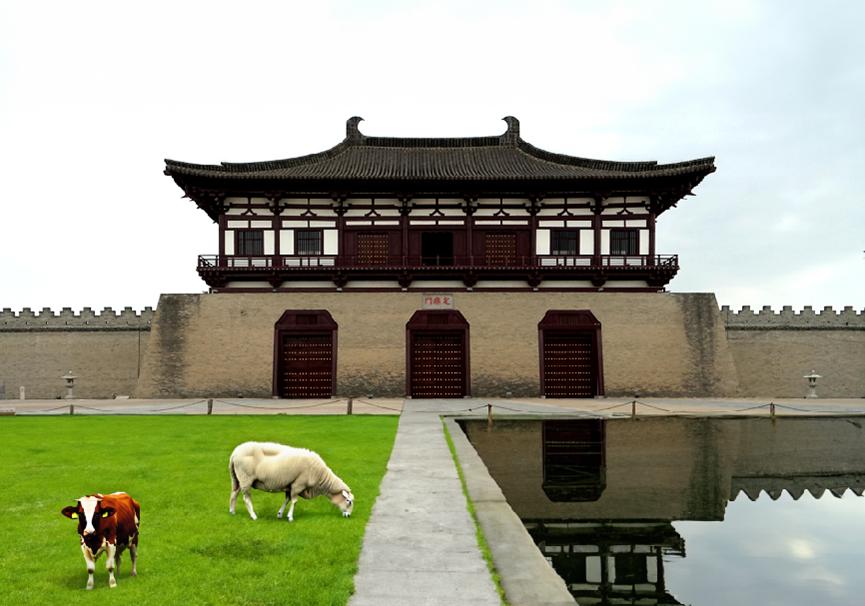 photoshopbeta下载要卸载ps吗,photoshopbeta怎么卸载