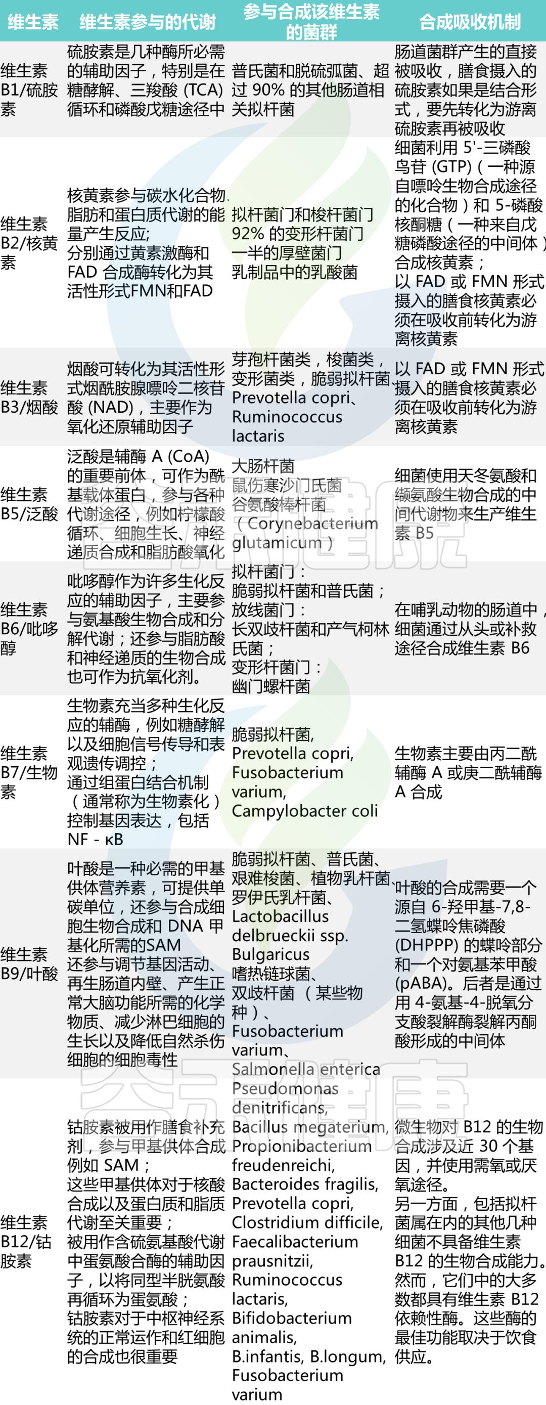 如何解读肠道菌群检测报告中的维生素指标？