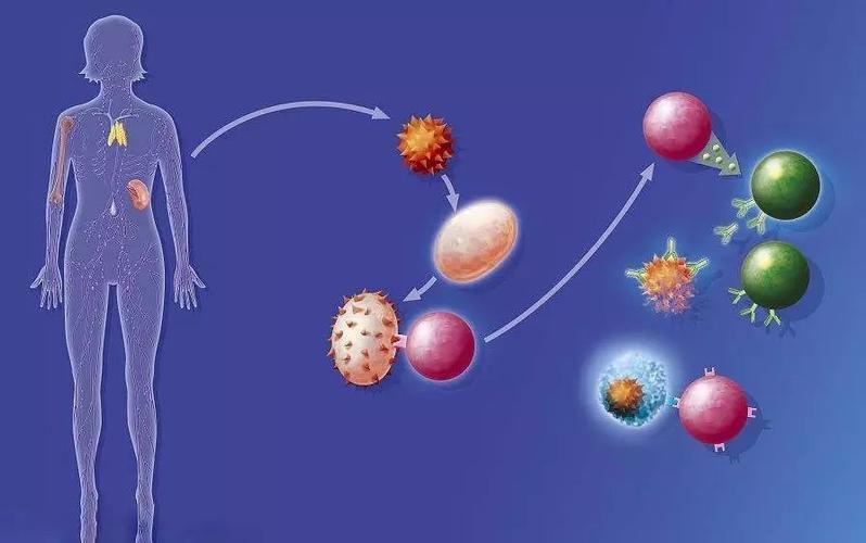 长期不发烧的人，不仅免疫力差，还容易得癌？告诉你答案