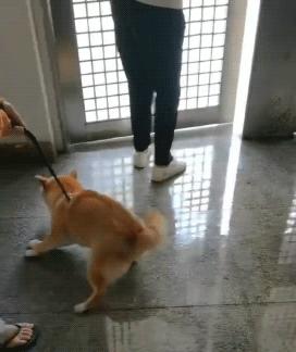 玻尿酸冬天会冻吗,玻尿酸遇到高温会怎么样