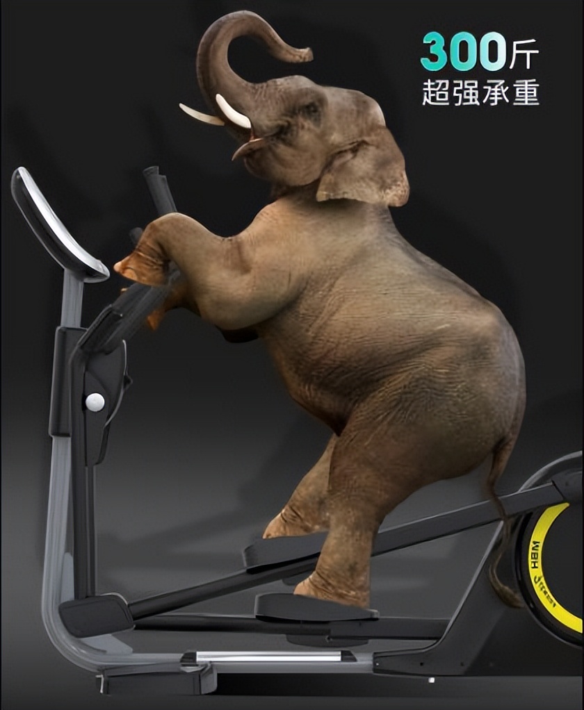 你知道健身房里一般有什么健身器材吗？