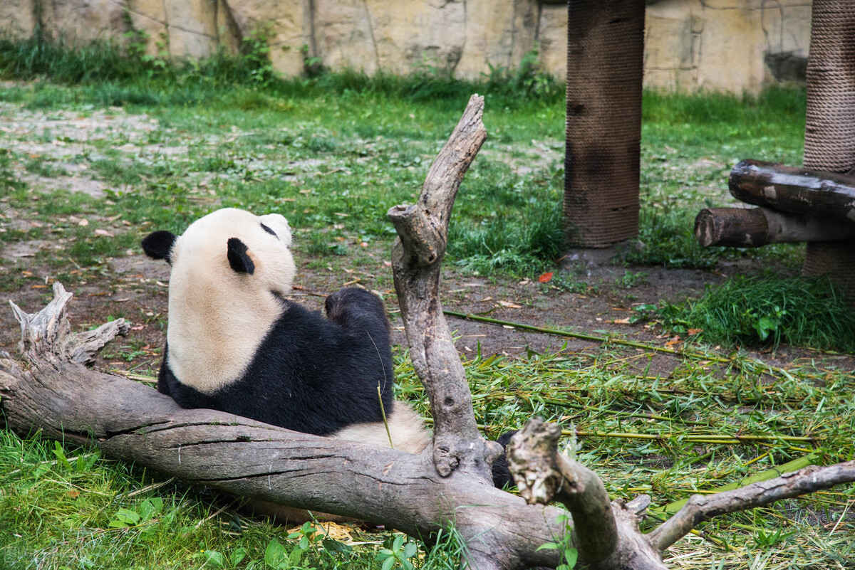 上海十大旅游景点直播,上海旅游景区实时直播