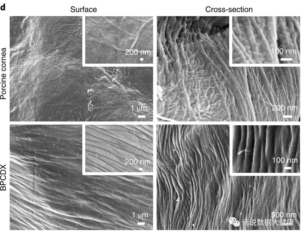 浜哄伐瑙掕啘瑙嗗姏鎭㈠,鐪肩潧澶辨槑鏇存崲浜哄伐瑙掕啘