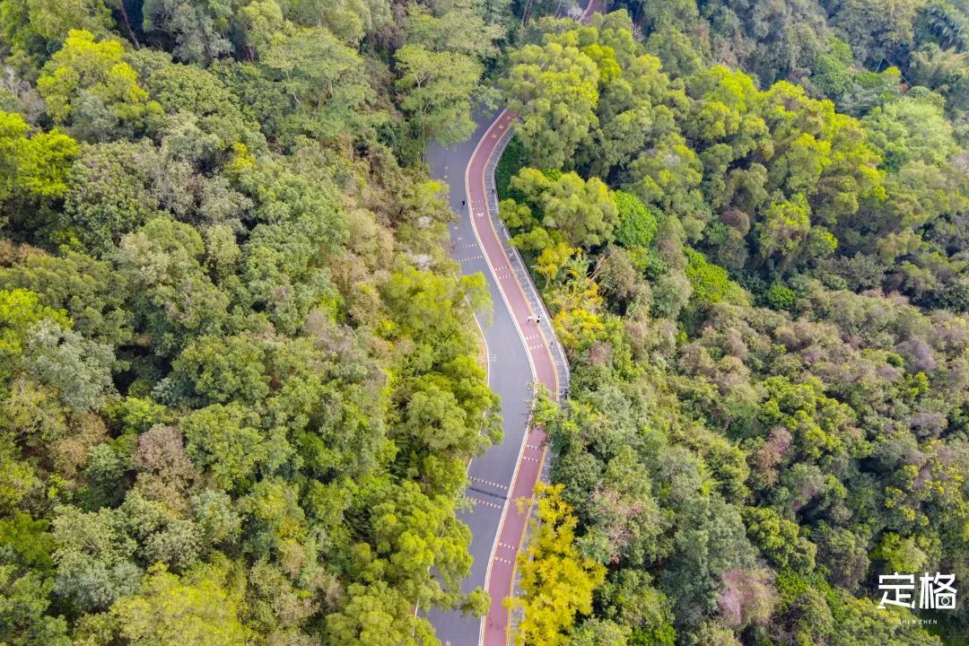 淘金山绿道揽胜,淘金山绿道预约