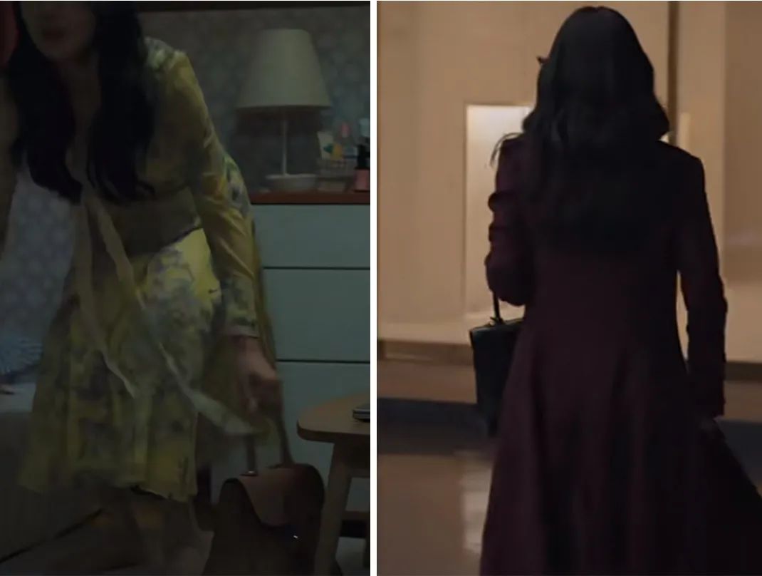 真假安娜身份被揭穿,真假安娜韩剧哪里看