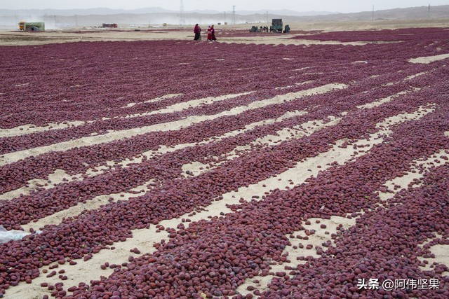 历史的稀世珍宝,和田大枣的历史文化价值有哪些