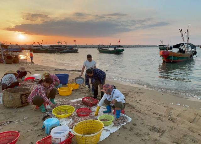 海南印象：女人太能干了，海边晒的大鱼*你干**认识吗？