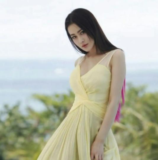 张馨予婚姻困境,张馨予与何捷结婚后宛如贤妻良母