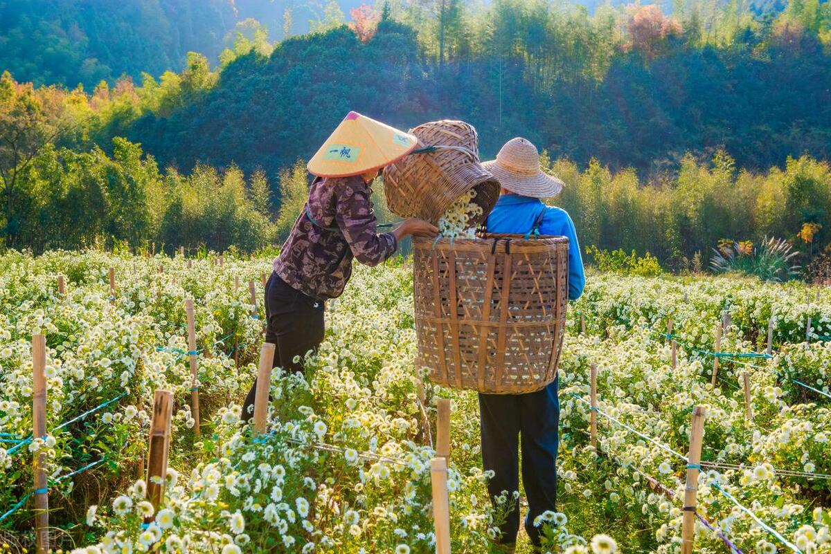 面临个人的困难和挑战,面临最大的困难和挑战