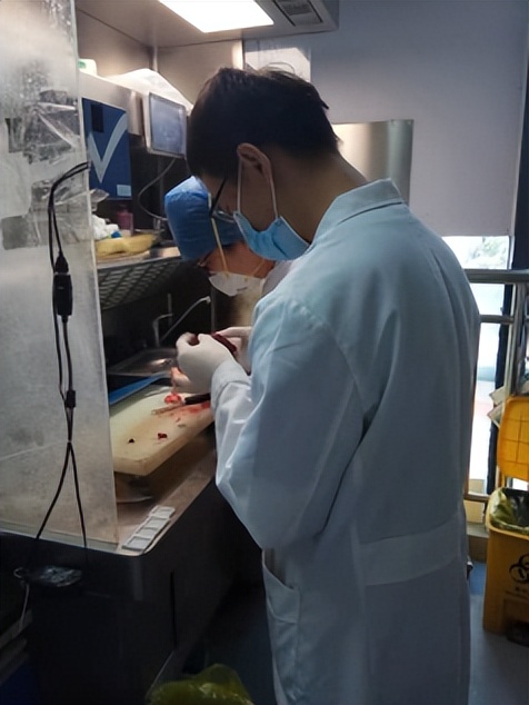 灏忓尰鐢熷ぇ鑳介噺,灏忕瀹ゅ彂鎸ュぇ鑳介噺