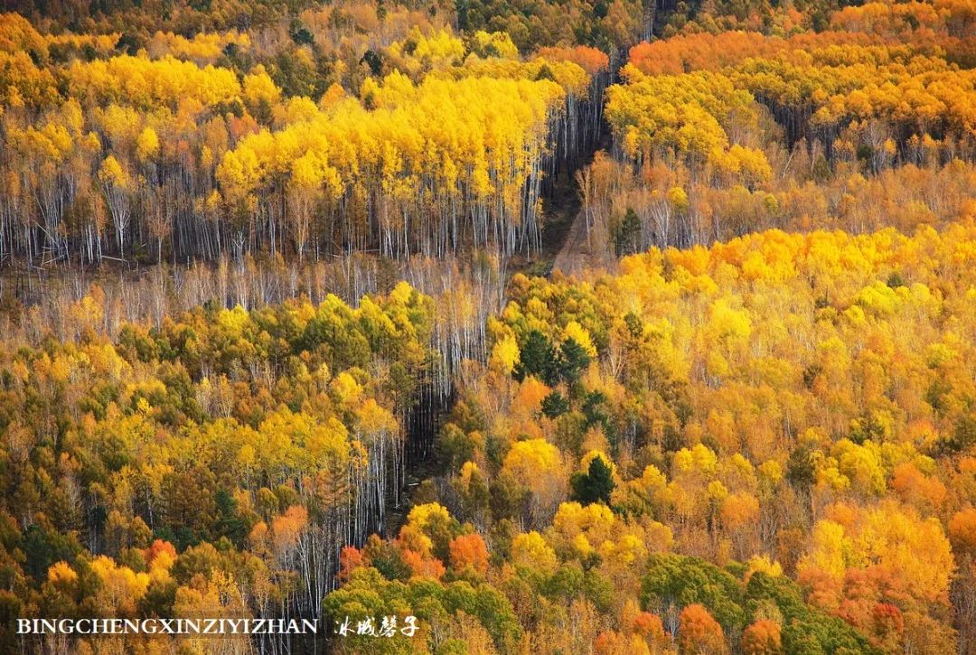 秋天大兴安岭最美的地方,秋天美丽的大兴安岭
