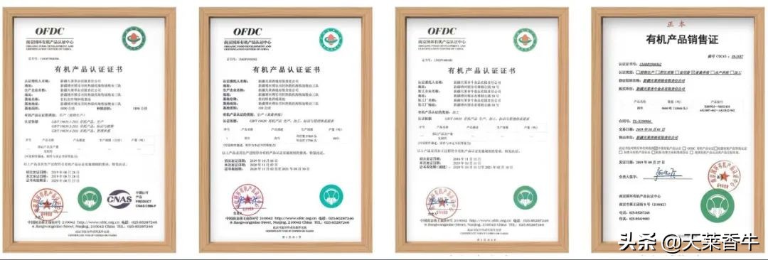 鏈夋満钄彍璇氫俊绗竴,鏈夋満澶╄彍棣欑墰绀肩洅