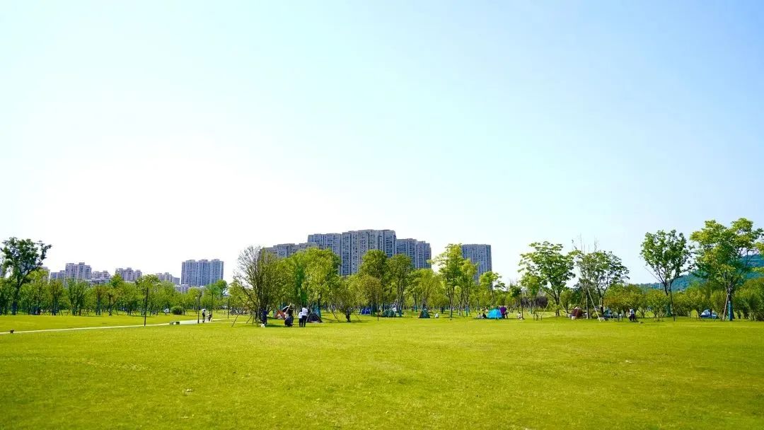杭州临平粉黛乱子草花海地址,杭州临平30余亩粉黛花海梦幻上线