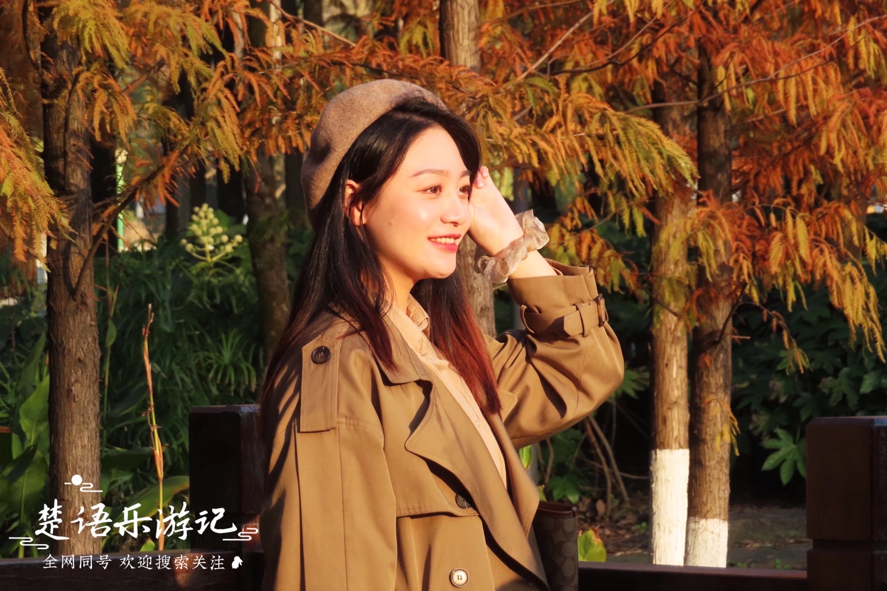 宁波的风景优美的地方,宁波水杉