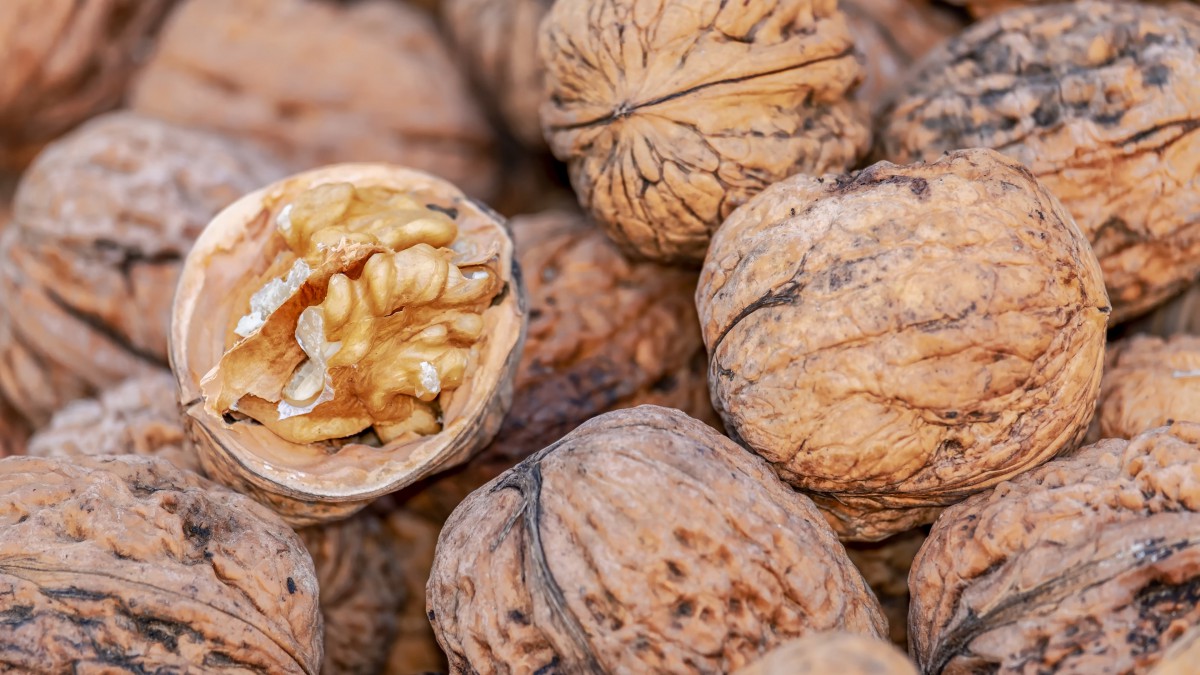 核桃引发肝癌,肝功能受损的人可以吃核桃吗