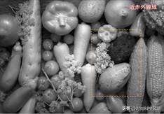 佳能相机5d4的cmos感光元件有多大,佳能和索尼cmos规格