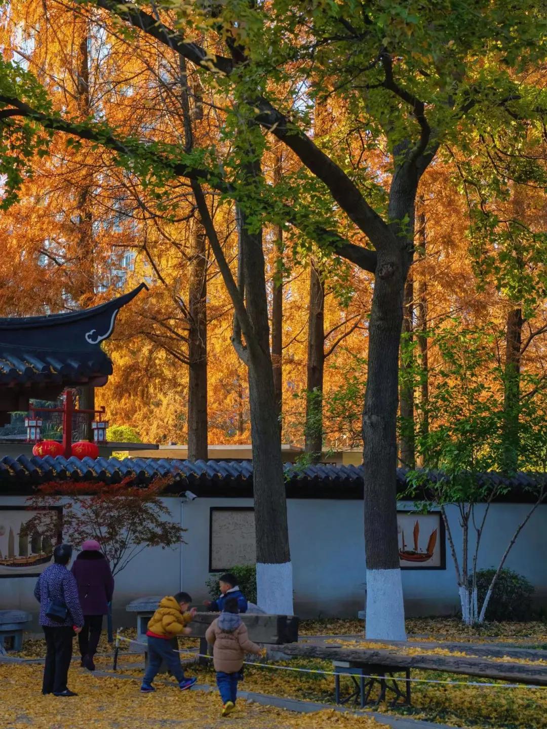 住在常府街，不羡城南与河西