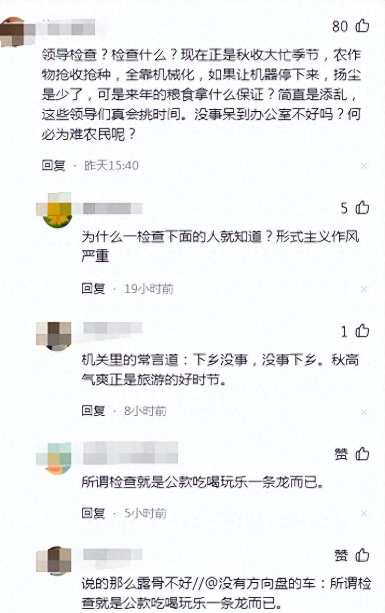 河南禁收花生相关责任人怎么处罚,河南禁收花生