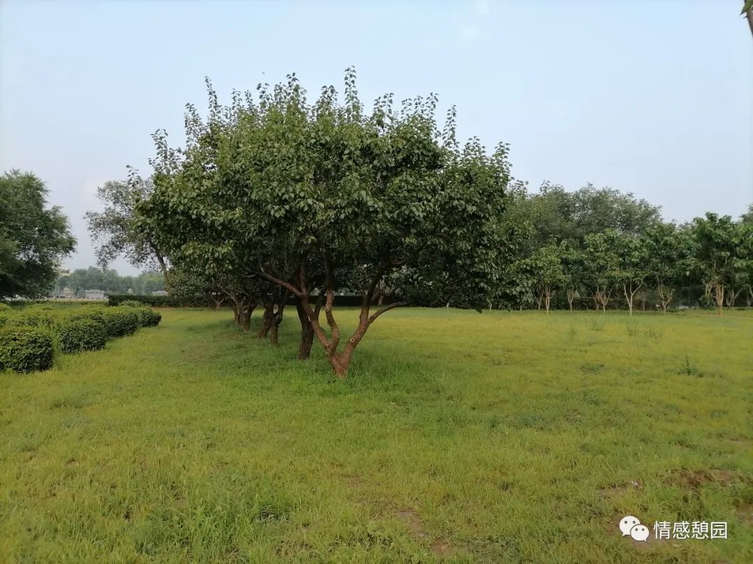 一段路一段情的唯美句子,一段路一段缘