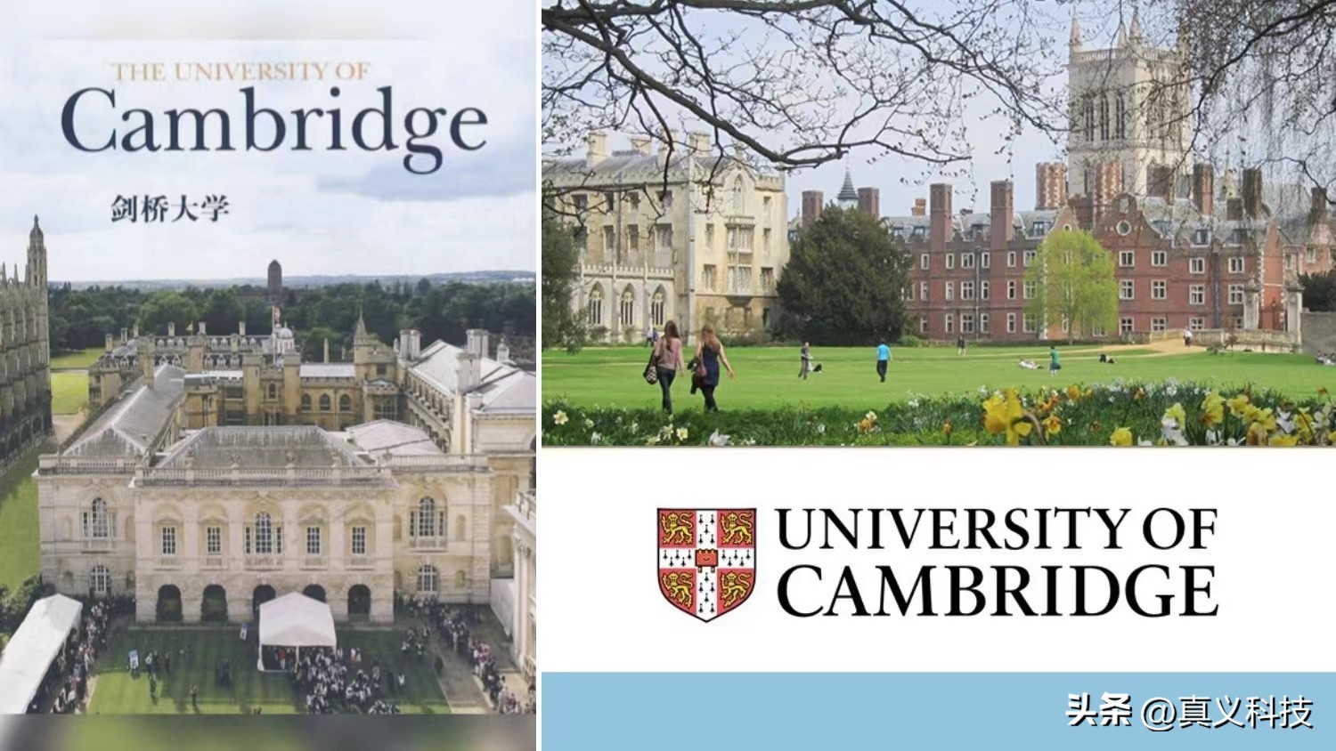 从“英国苹果”到RISC芯片王者——ARM的前世今生之完整追溯