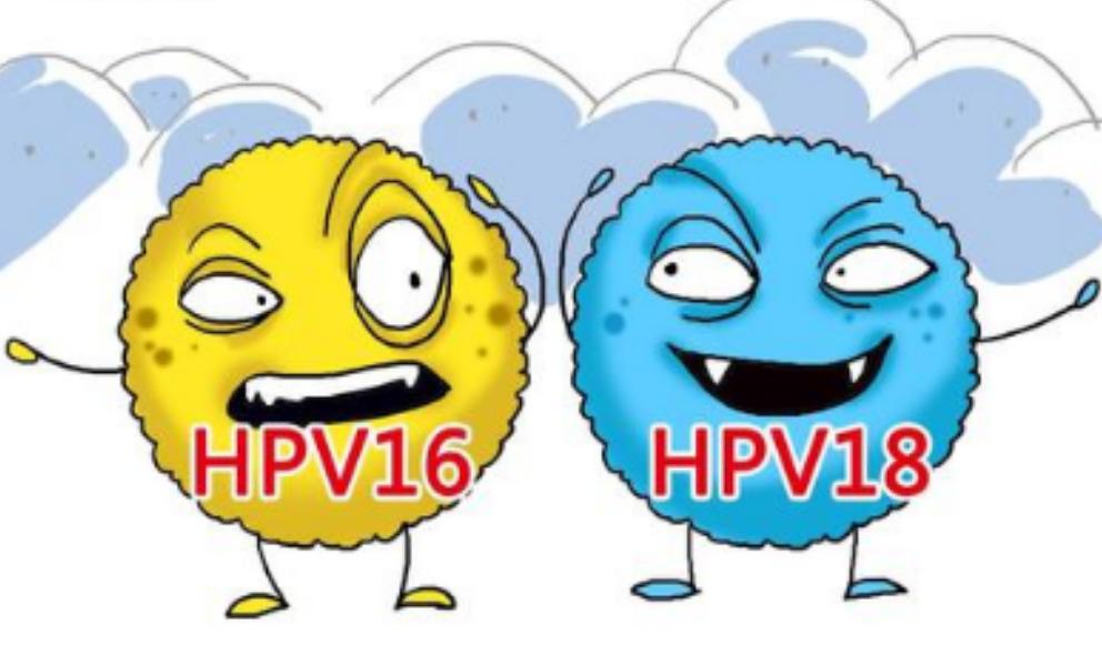 HPV16和HPV18，感染哪个会更严重？