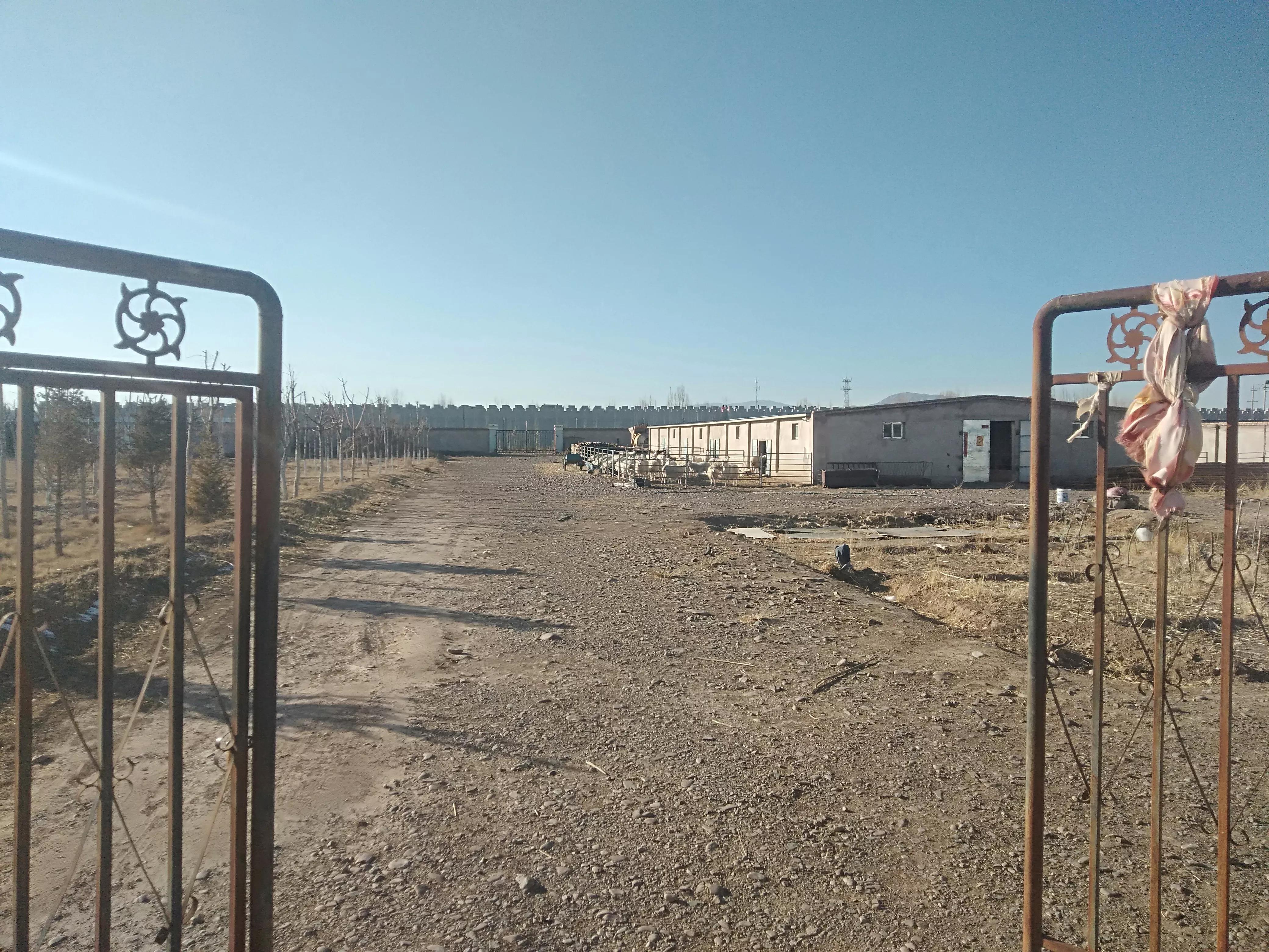 现在的羊价育肥羊能赚钱吗,羊养殖羊价