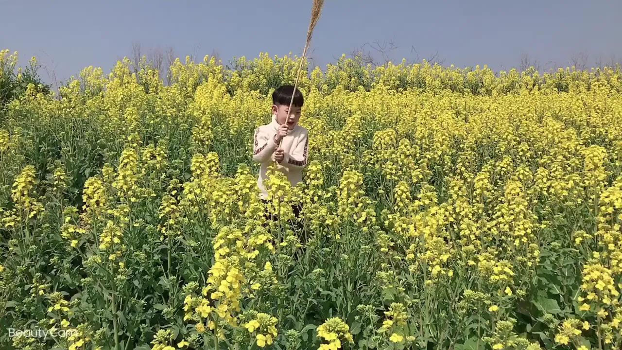 名字中的易学智慧,名字里的人生哲理