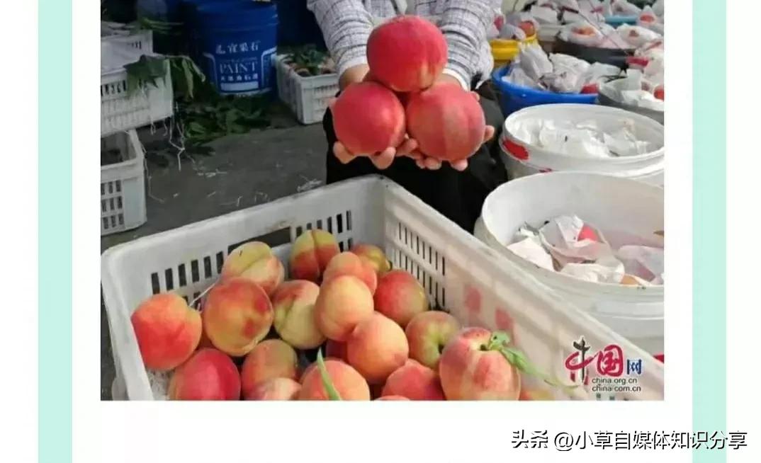 微信软件的隐藏功能,微信的3个隐藏小功能真的太实用