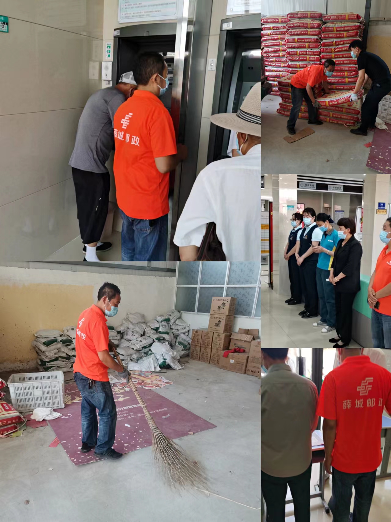 薛城邮政分公司:坚持*党**建引领,助力夏粮收购