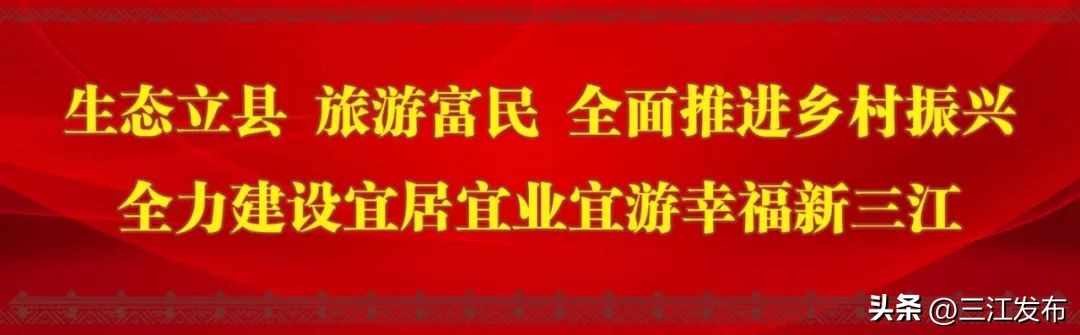 乡村振兴与脱贫攻坚衔接工作思路,茶产业助推脱贫攻坚座谈会