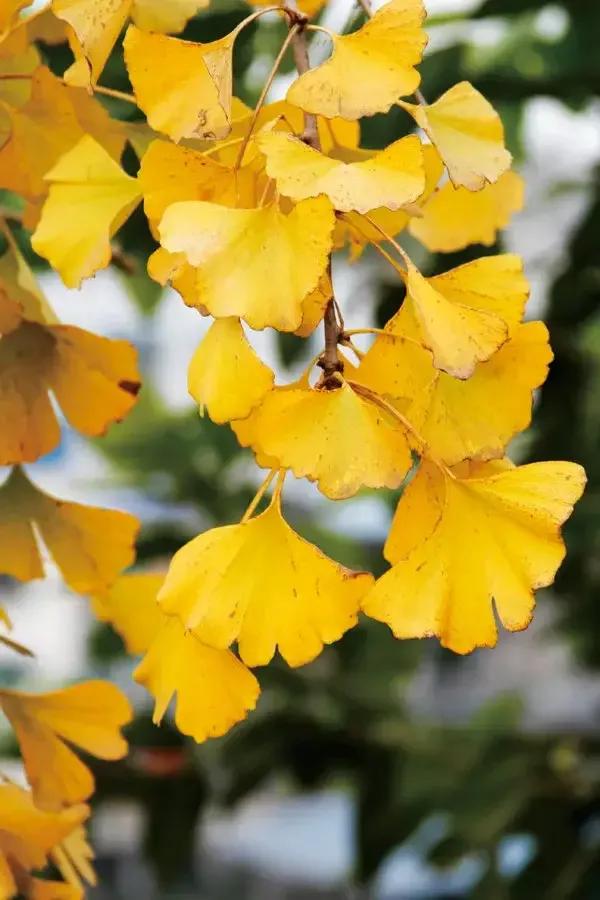 蓝颜红颜,蓝颜红颜是不是谎言