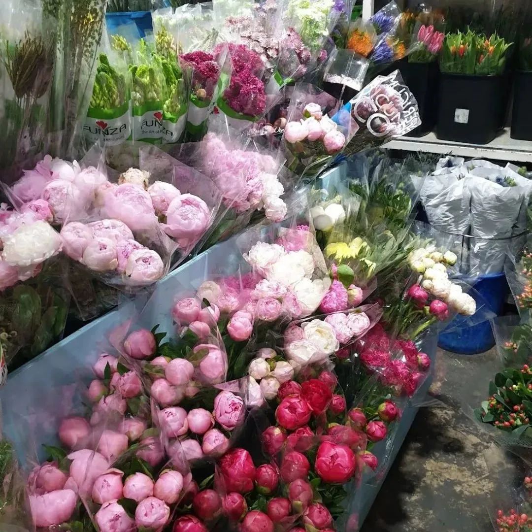 鲜花在水里能养几天会死,新加坡盆栽花卉怎么养