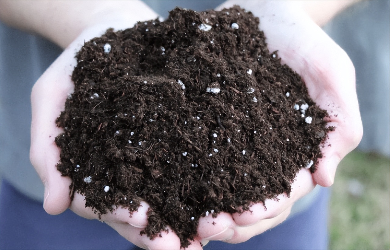 万能营养土的配制方法,万能营养土配方大全