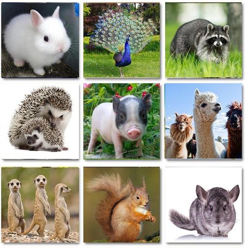 南京启龙儿童乐园游玩项目,儿童乐园游玩项目介绍