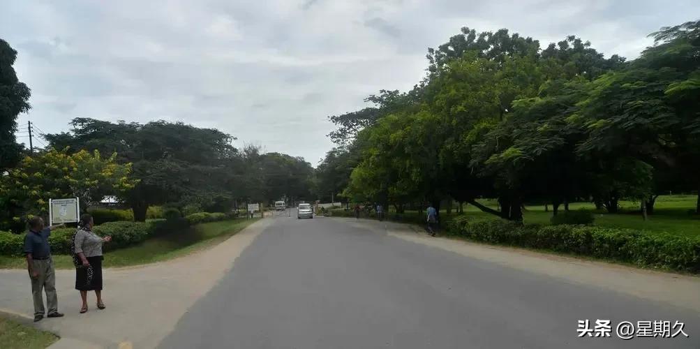 香港最豪华的游轮,香港最豪华的邮轮