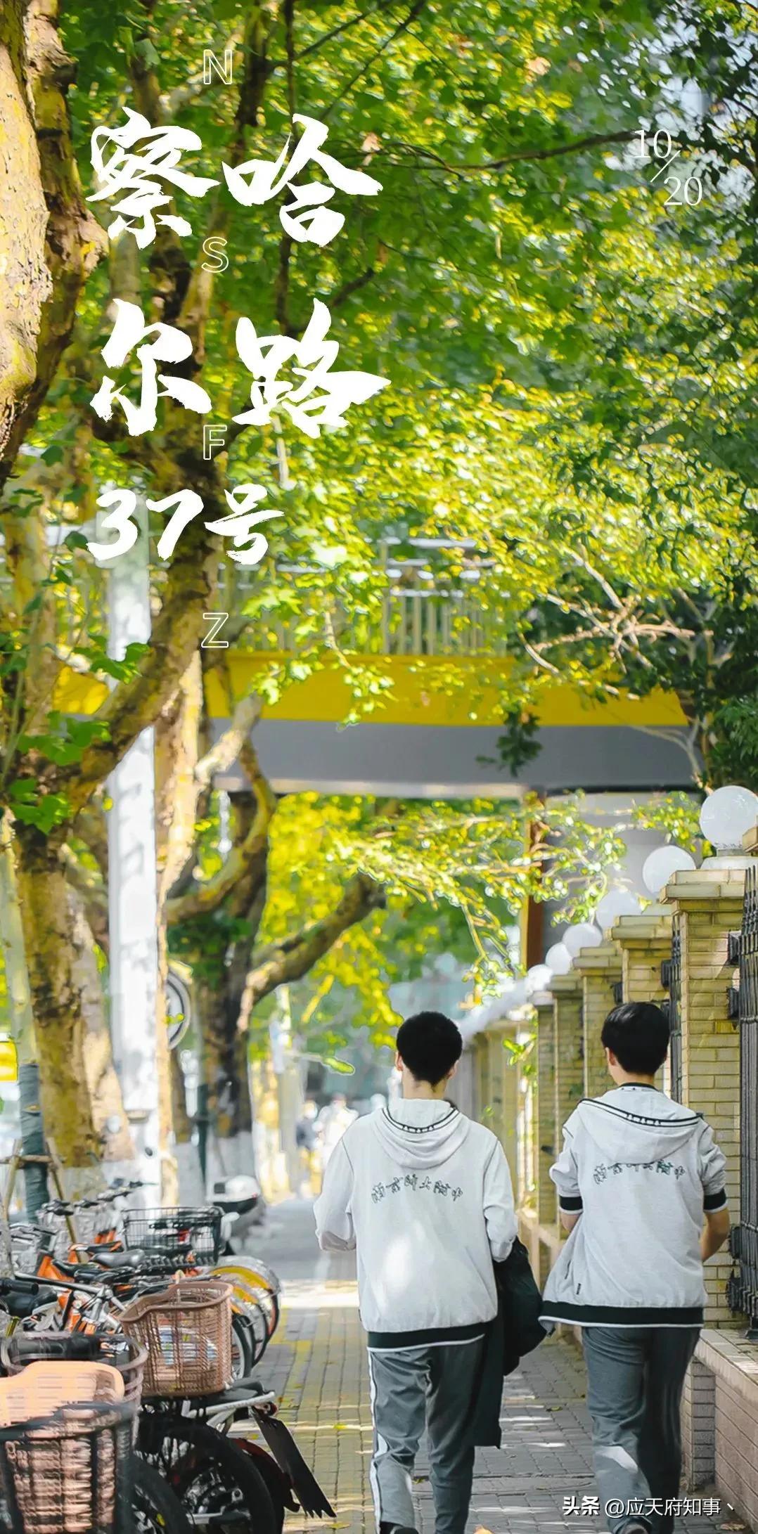 南京再回来是绿码吗,南京站到察哈尔路公交车