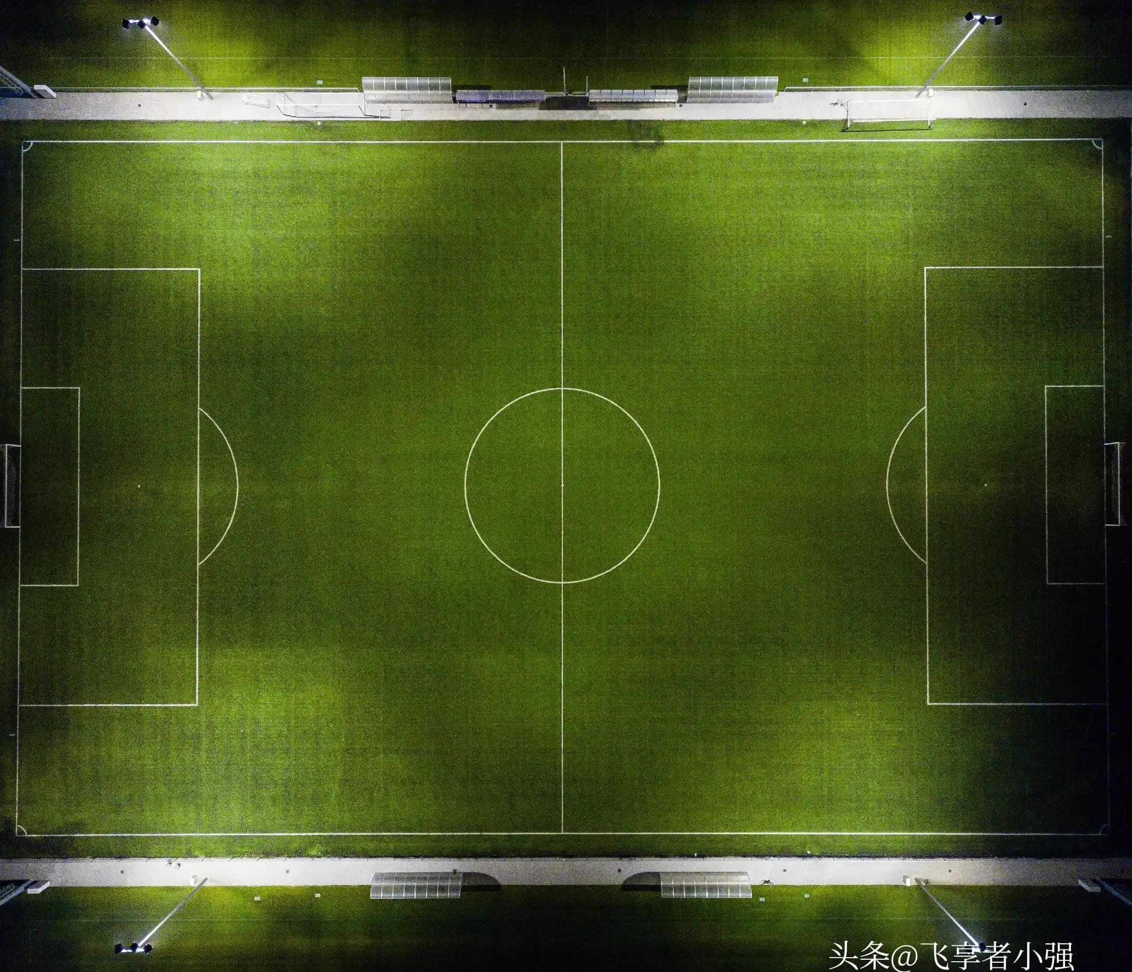 世界杯足球赛场的草坪是什么做的,真的是开眼了