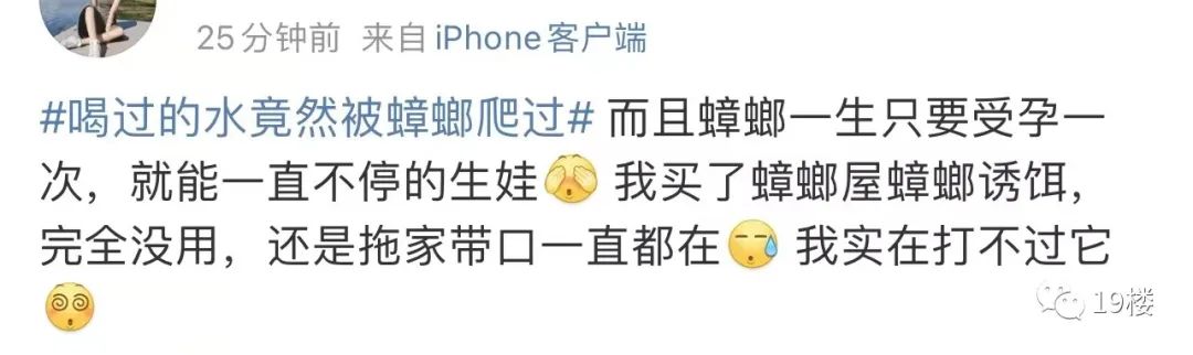 过敏原检测为蟑螂,过敏源是蟑螂过敏怎么办