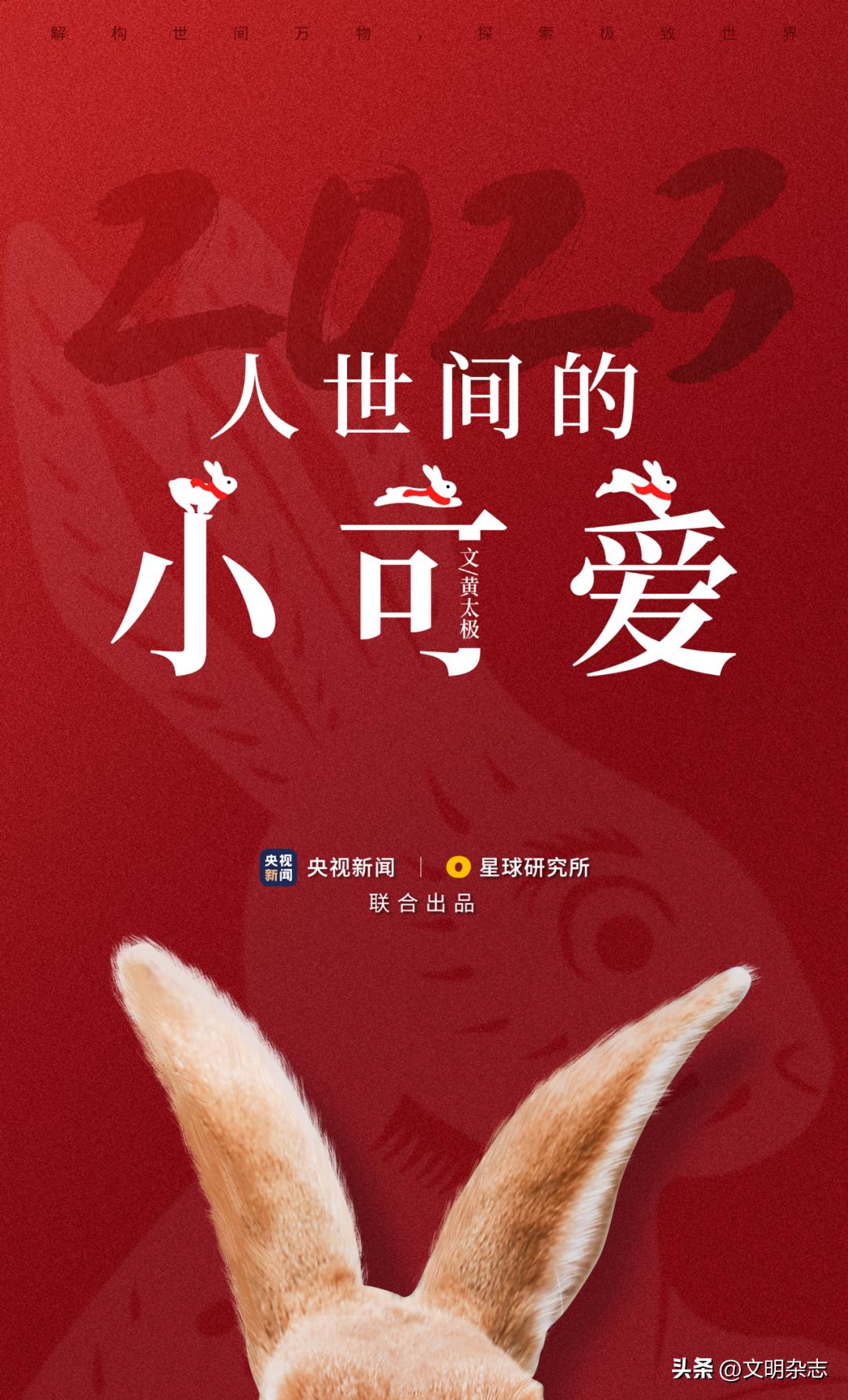 兔子来阳台,兔子来到新家