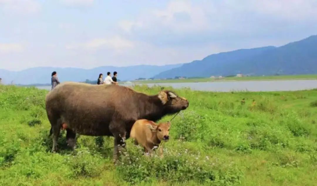 云浮出发湖南湘西详细攻略3天,云浮出发湖南旅游详细攻略3天