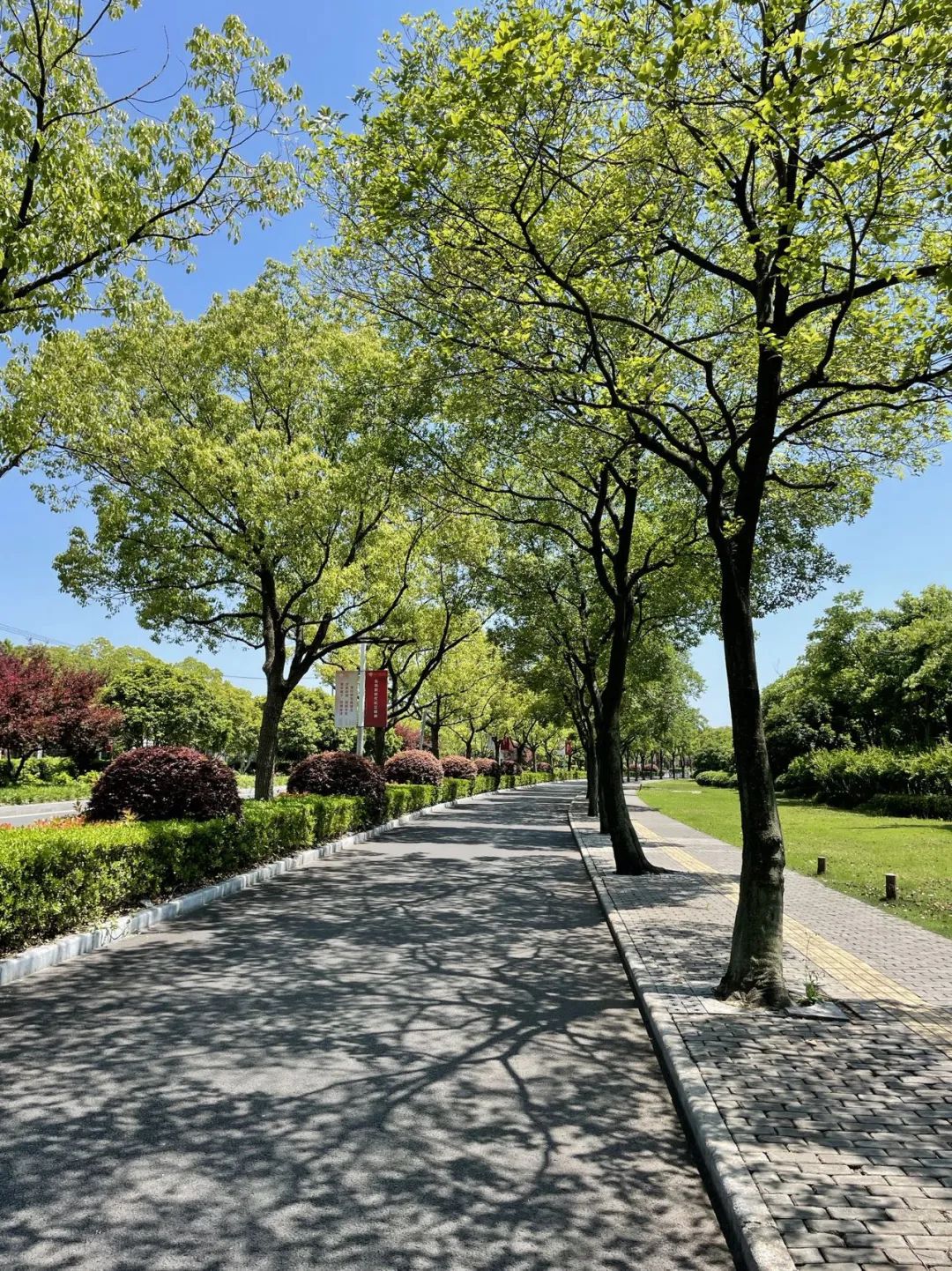 Moments｜创业者的2022：Recharge，劫后新生，海葵复苏了