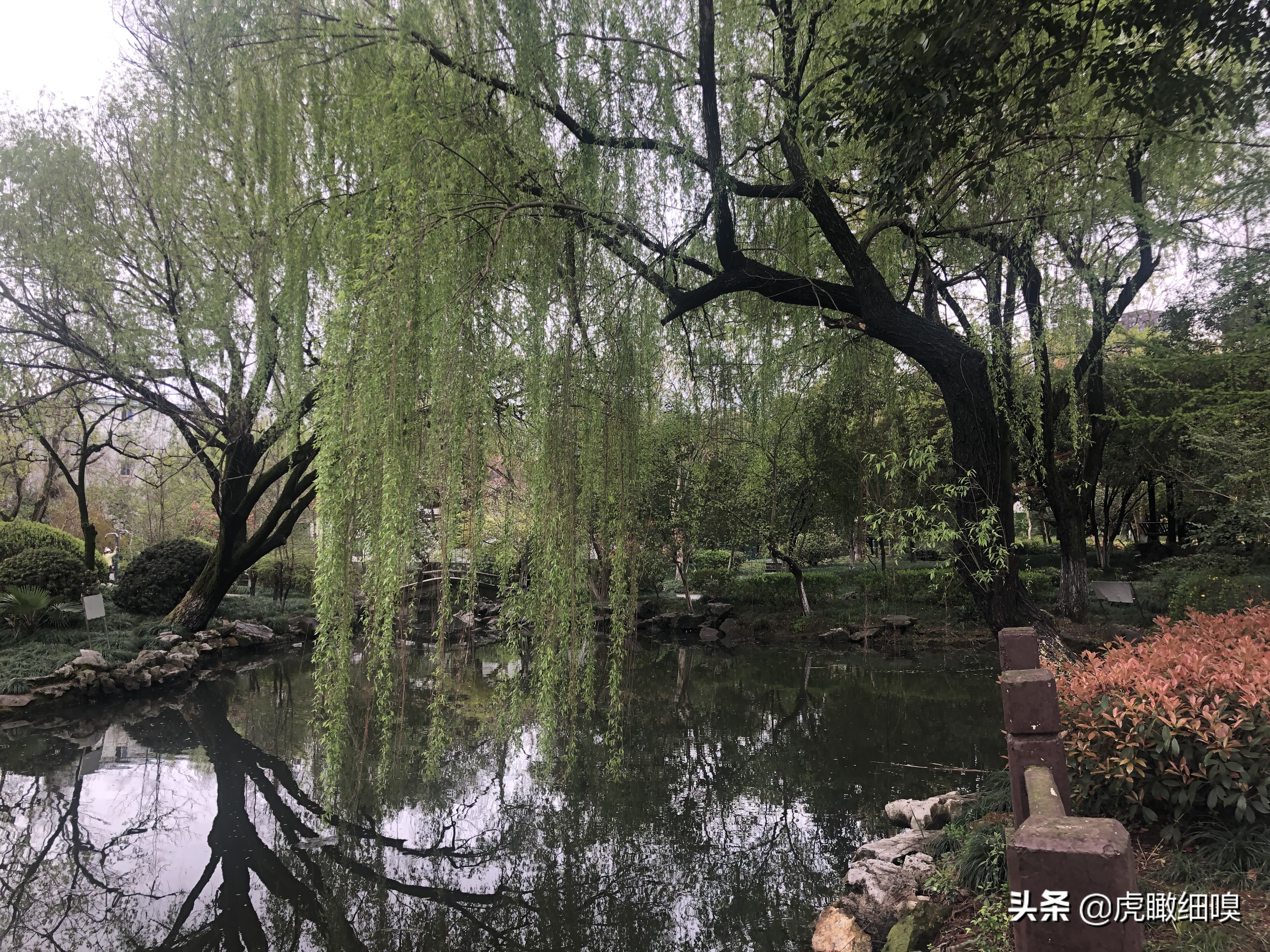 三墩兰里公园变化,杭州兰里公园