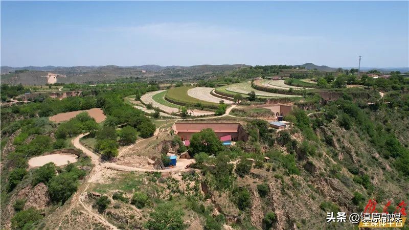 非常眼丨西野纵横战悦乐