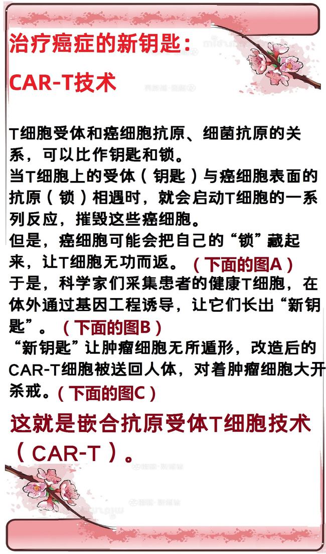 肿瘤与免疫的故事,肿瘤免疫治疗十大案例