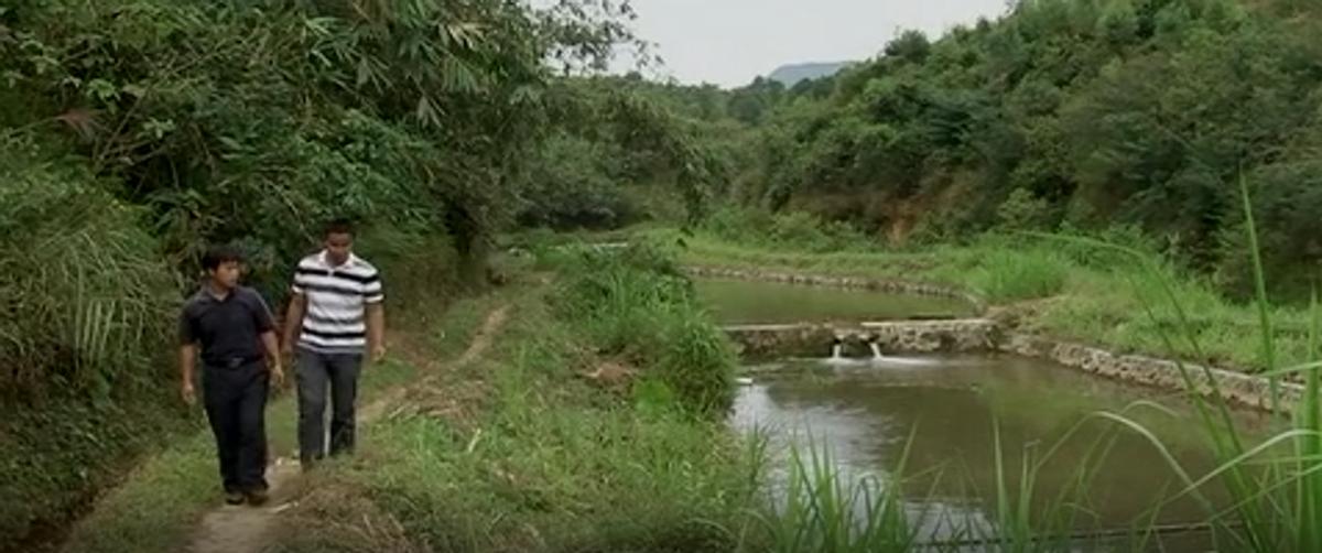 广西单身小伙赚到第一份工资,广西小伙养鱼赚百万