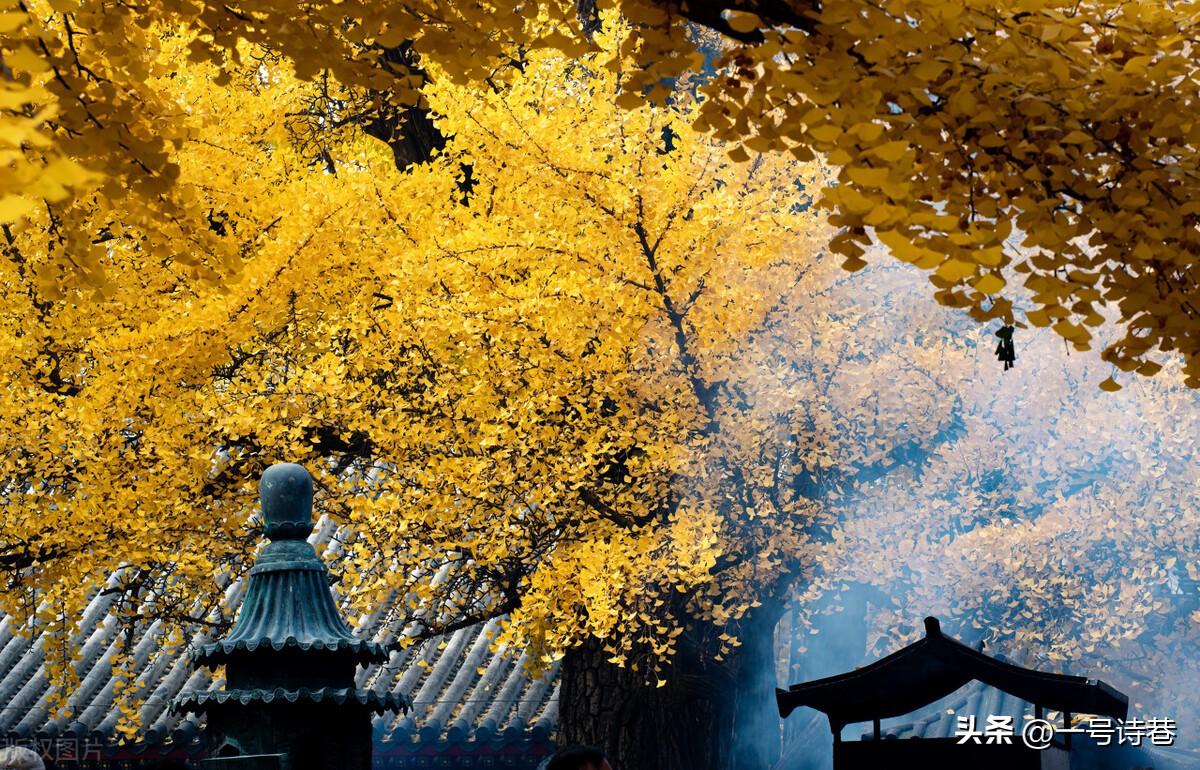 江湖夜雨十年灯陆游最著名的七律,陆游的诗两句