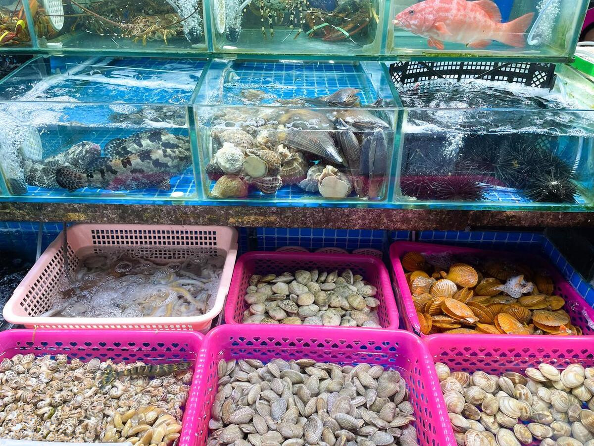 吃海鲜便宜的旅游胜地,最值得去的海鲜自助