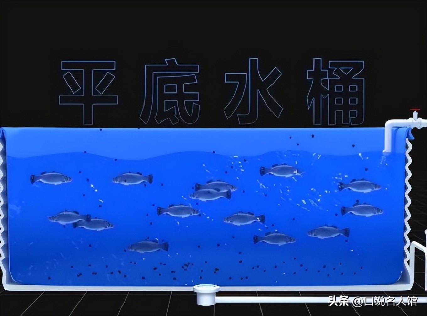 上海奇人：养鱼不换水，种菜不施肥，年入3600万，疫情在家也不愁