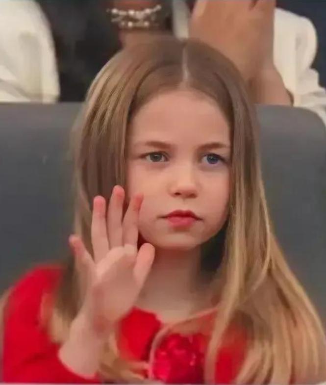 夏洛特公主将继承戴安娜的传家宝,夏洛特公主继承名贵珠宝300亿